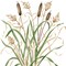 New Cattails Wall Stencil | 2607 by Designer Stencils | Reusable Art Craft Stencils for Painting on Walls, Canvas, Wood |
